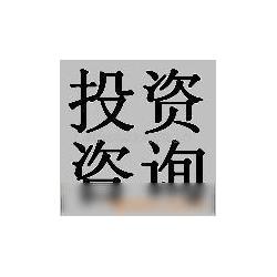 投資管理與咨詢 專業服務賦能企業資本戰略