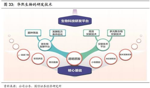 化妝品行業2020年投資展望 產品先行，流量催化，資本助力